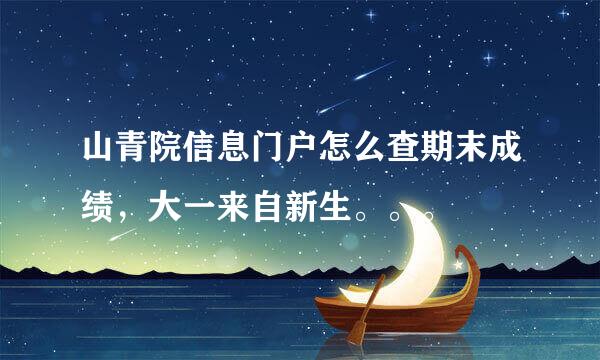 山青院信息门户怎么查期末成绩，大一来自新生。。。