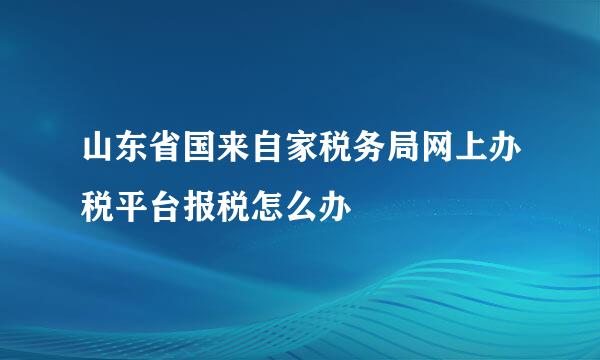 山东省国来自家税务局网上办税平台报税怎么办