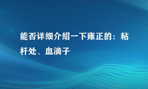 能否详细介绍一下雍正的：粘杆处、血滴子