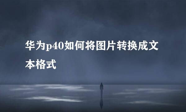 华为p40如何将图片转换成文本格式