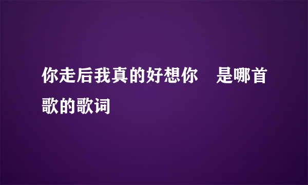 你走后我真的好想你 是哪首歌的歌词