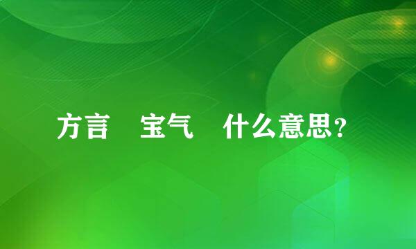 方言 宝气 什么意思？