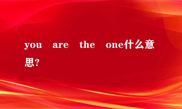 you are the one什么意思?