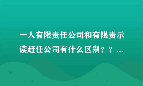 一人有限责任公司和有限责示读赶任公司有什么区别？？除注册资金。。。一般纳税人的要求是什么？？