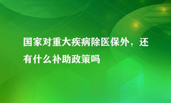 国家对重大疾病除医保外，还有什么补助政策吗