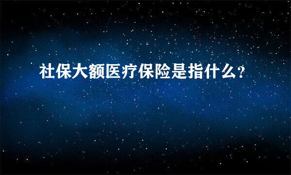 社保大额医疗保险是指什么？