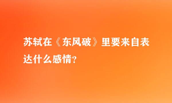 苏轼在《东风破》里要来自表达什么感情？