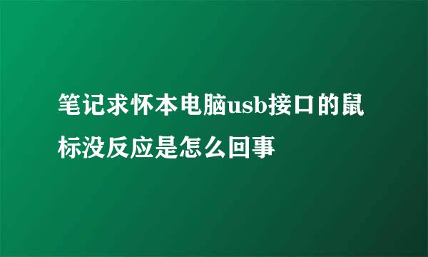 笔记求怀本电脑usb接口的鼠标没反应是怎么回事