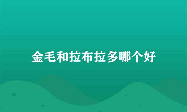 金毛和拉布拉多哪个好