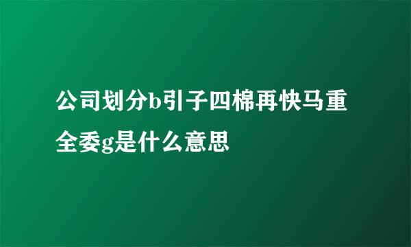 公司划分b引子四棉再快马重全委g是什么意思