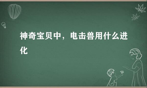 神奇宝贝中，电击兽用什么进化