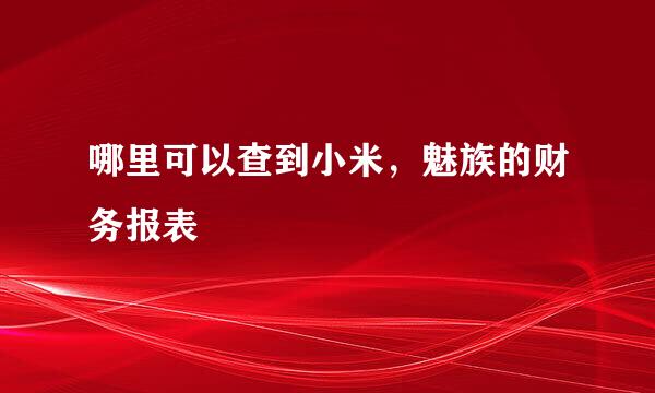 哪里可以查到小米，魅族的财务报表