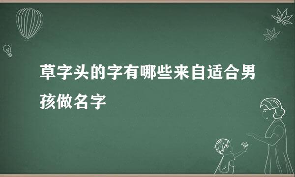 草字头的字有哪些来自适合男孩做名字