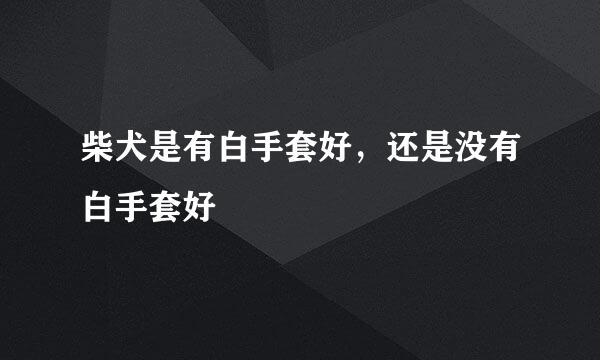 柴犬是有白手套好，还是没有白手套好