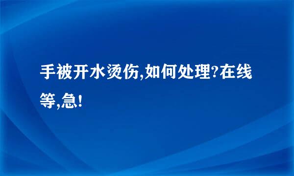 手被开水烫伤,如何处理?在线等,急!