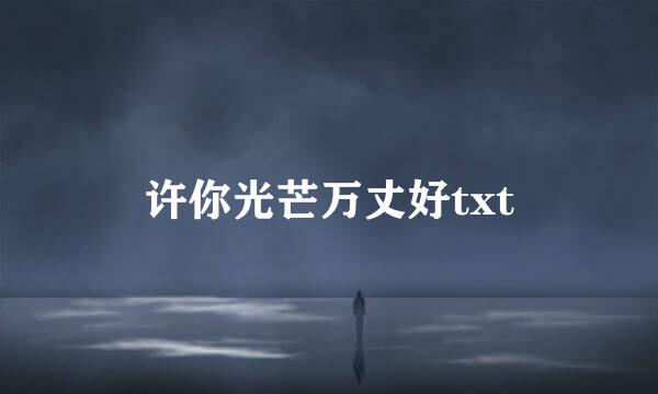 许你光芒万丈好txt