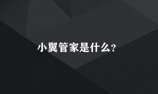 小翼管家是什么？