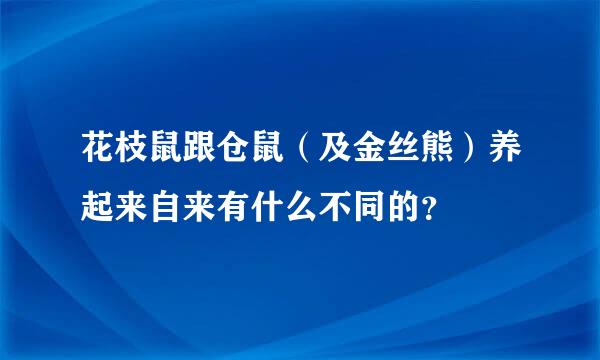 花枝鼠跟仓鼠（及金丝熊）养起来自来有什么不同的？