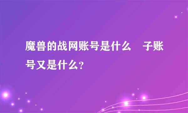 魔兽的战网账号是什么 子账号又是什么？