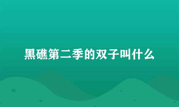 黑礁第二季的双子叫什么