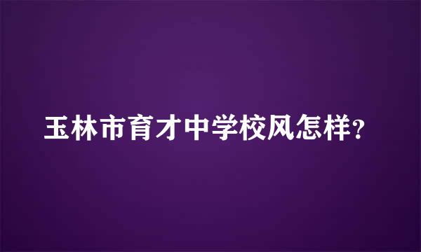 玉林市育才中学校风怎样？