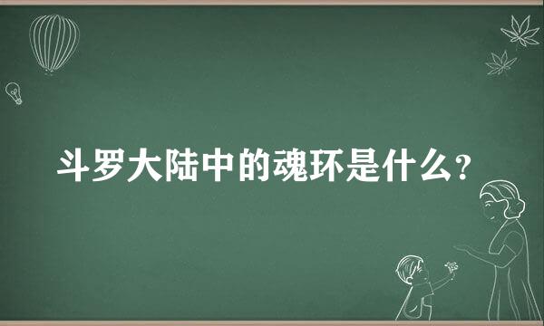 斗罗大陆中的魂环是什么？