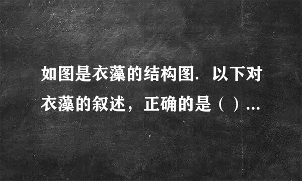 如图是衣藻的结构图．以下对衣藻的叙述，正确的是（）A．衣藻是多细胞绿藻B．衣藻生活在海水中C．衣藻细胞中有一个椭圆形叶绿...