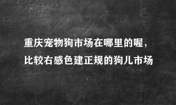 重庆宠物狗市场在哪里的喔，比较右感色建正规的狗儿市场