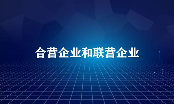 合营企业和联营企业