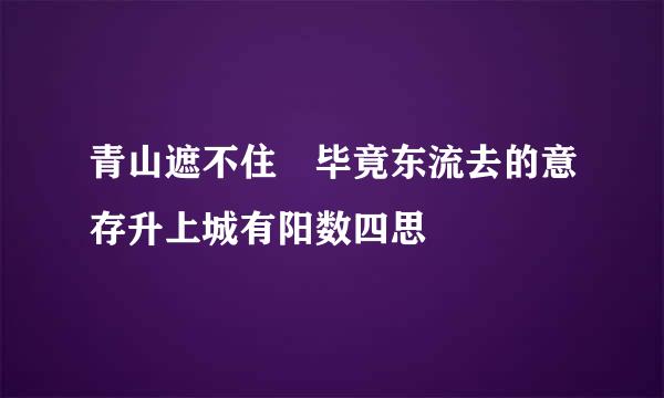 青山遮不住 毕竟东流去的意存升上城有阳数四思