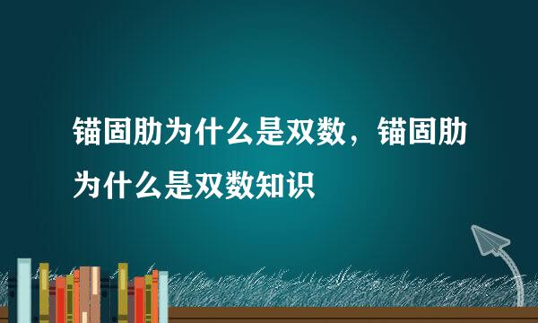 锚固肋为什么是双数，锚固肋为什么是双数知识