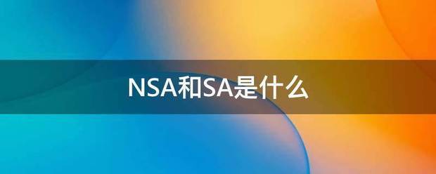 NSA和SA龙看鸡免样战顶支是什么