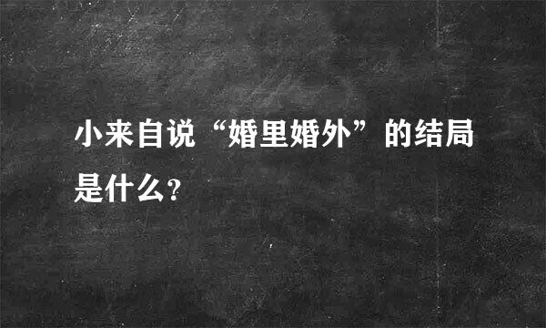 小来自说“婚里婚外”的结局是什么？