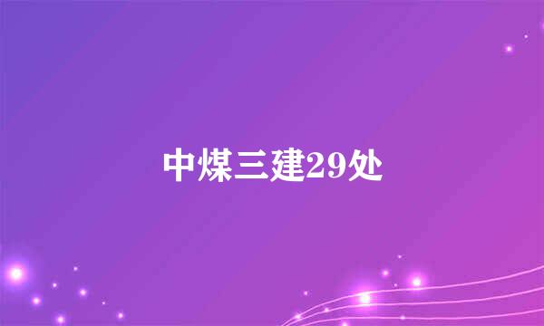 中煤三建29处