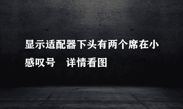 显示适配器下头有两个席在小感叹号 详情看图