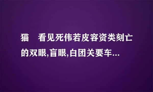 猫 看见死伟若皮容资类刻亡的双眼,盲眼,白团关要车观色诅咒的旋律哪部比较恐怖