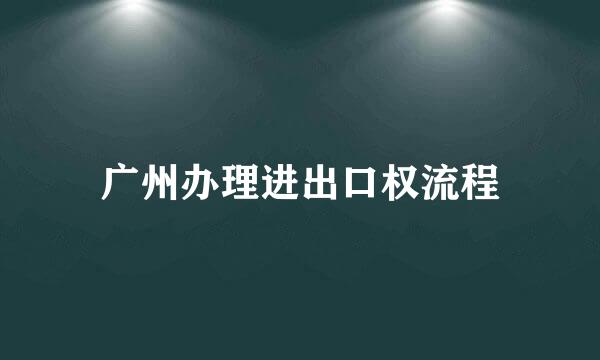 广州办理进出口权流程