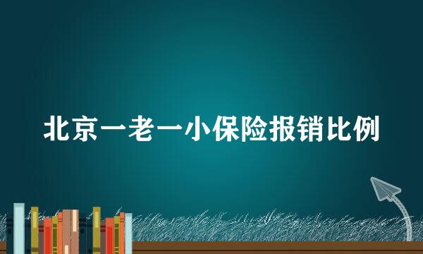 北京一老一小保险报销比例