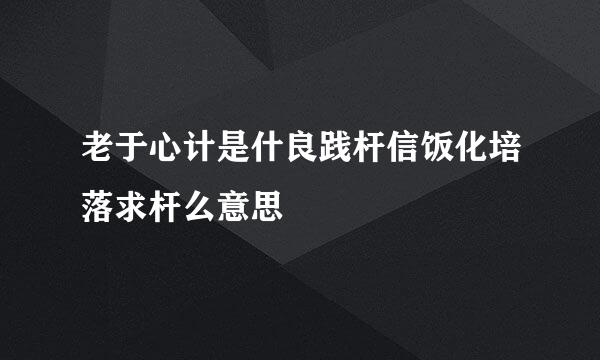 老于心计是什良践杆信饭化培落求杆么意思