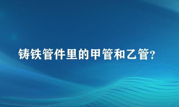 铸铁管件里的甲管和乙管？