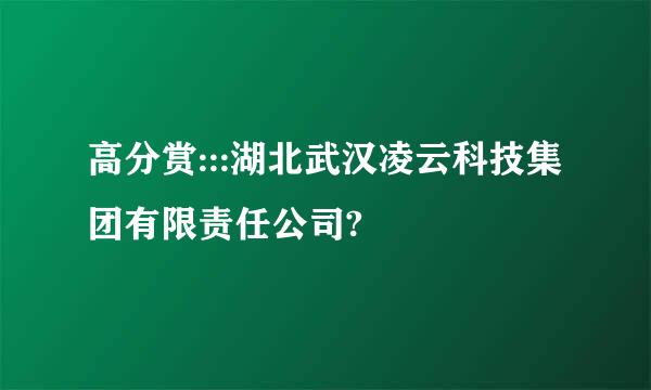 高分赏:::湖北武汉凌云科技集团有限责任公司?