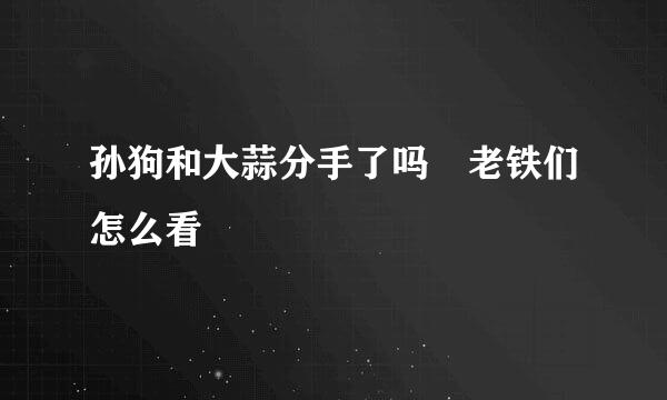 孙狗和大蒜分手了吗 老铁们怎么看