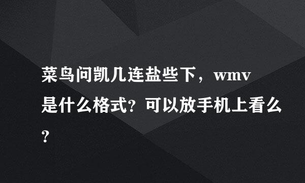 菜鸟问凯几连盐些下，wmv是什么格式？可以放手机上看么？