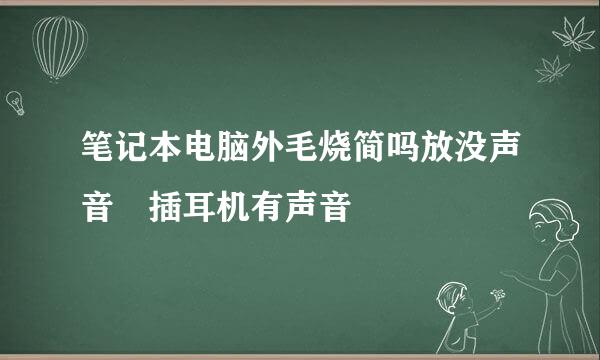 笔记本电脑外毛烧简吗放没声音 插耳机有声音