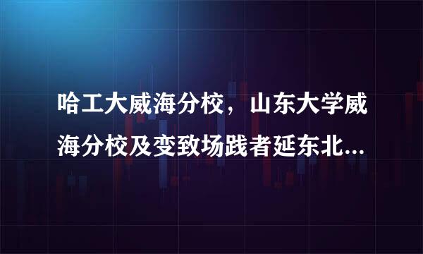 哈工大威海分校，山东大学威海分校及变致场践者延东北大学秦皇岛分校哪个好