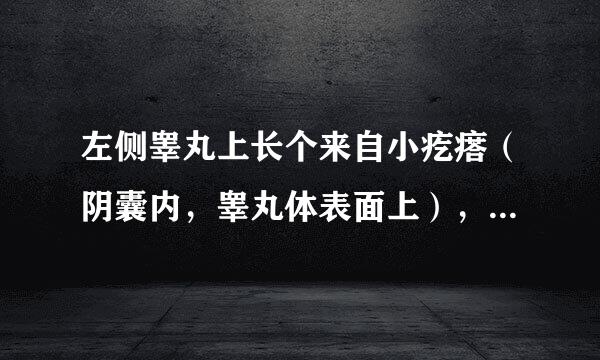 左侧睾丸上长个来自小疙瘩（阴囊内，睾丸体表面上），米粒大小，轻压酸痛。请问，是什么病？谢谢！