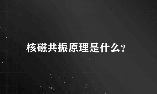 核磁共振原理是什么？