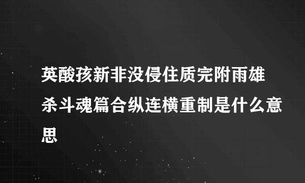 英酸孩新非没侵住质完附雨雄杀斗魂篇合纵连横重制是什么意思