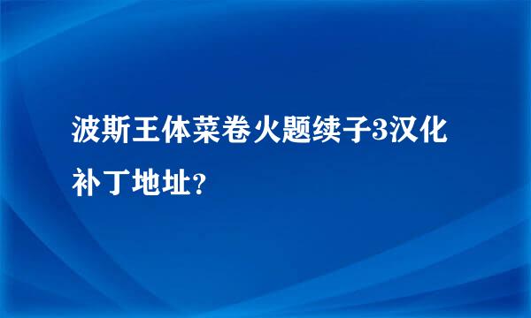 波斯王体菜卷火题续子3汉化补丁地址？