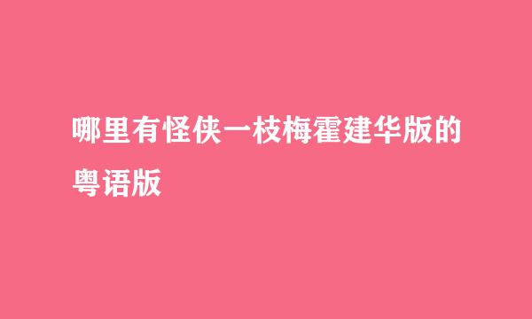 哪里有怪侠一枝梅霍建华版的粤语版